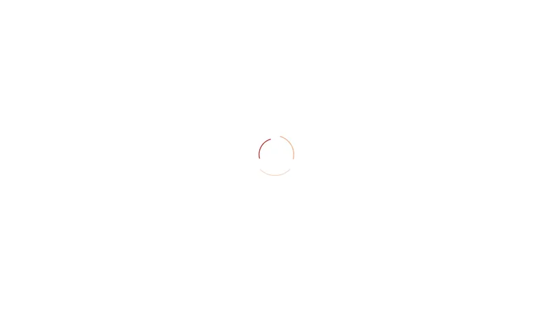 Website van Dakwerken Amsterdam